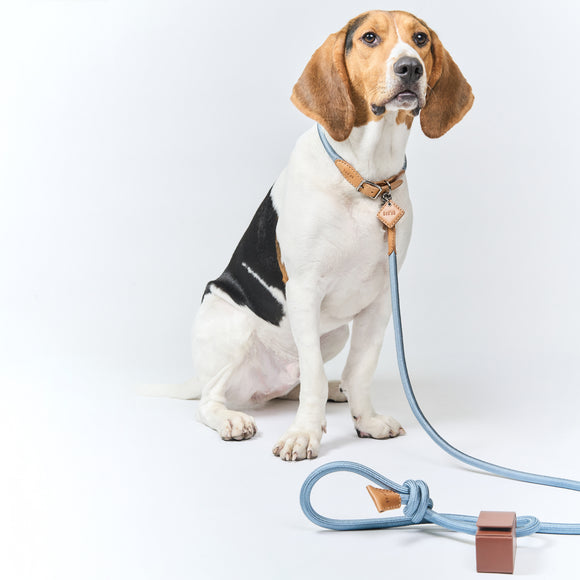 Ray Collar and Leash Set