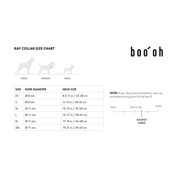 Ray Collar and Leash Set