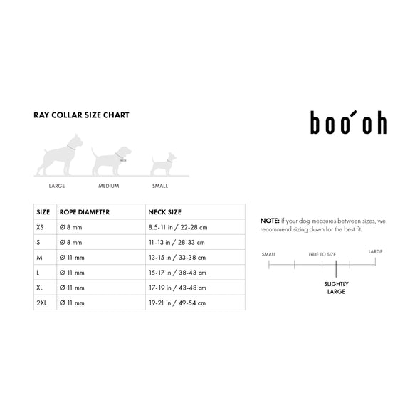 Ray Collar and Leash Set