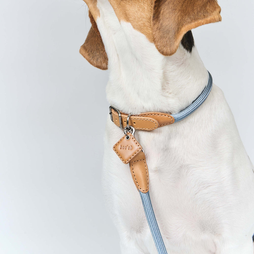 Ray Collar
