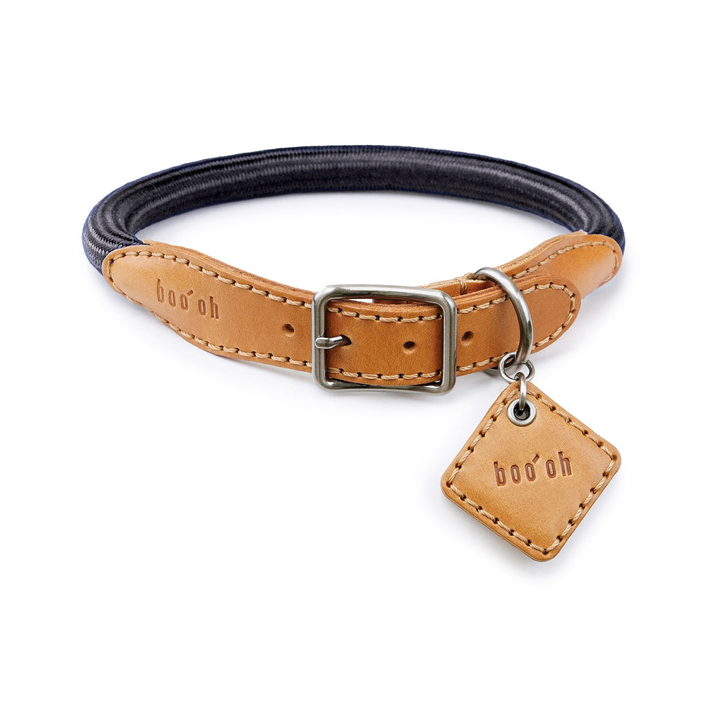 Ray Collar
