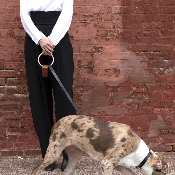 Lumi Leash and Collar Set