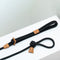 Ray All-in-One Leash and Harness Set  option Black