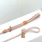 Ray All-in-One Leash and Harness Set  option Champagne Gold
