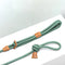 Ray All-in-One Leash and Harness Set  option Emerald Green