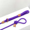 Ray All-in-One Leash and Harness Set  option Ultra Violet