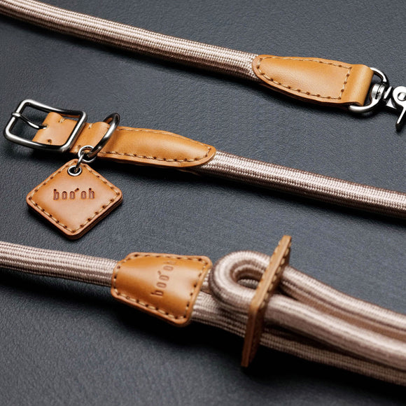 Boo'Oh Pets Ray All-in-One Leash and Harness Set - 2Modern