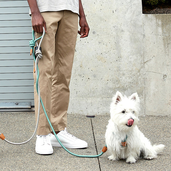 boo'oh  オールインワンハーネス Boo'Oh Pets Ray All-in-One Leash and Harness Set - 2Modern