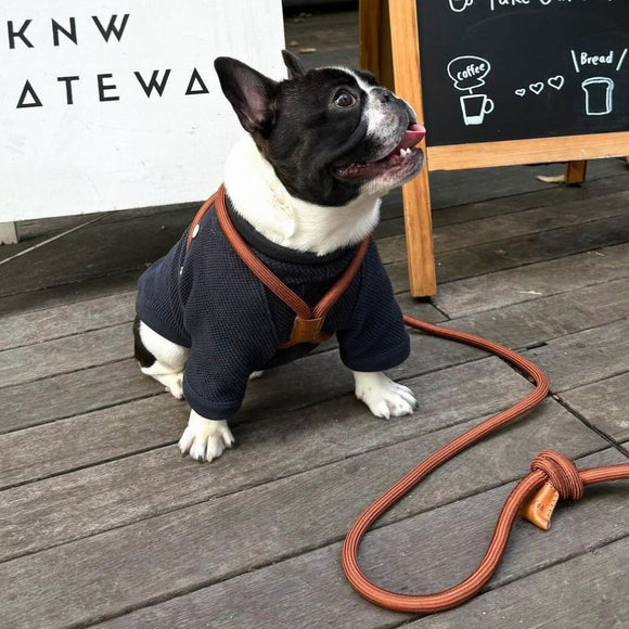 boo'oh  オールインワンハーネス Boo'Oh Pets Ray All-in-One Leash and Harness Set - 2Modern