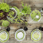 Artichoke Bowl