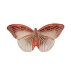 Cloudy Butterflies Wall Decor