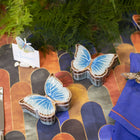 Cloudy Butterflies Box