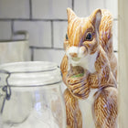 Squirrel Pitcher