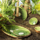 Tropical Fruits Platter