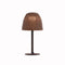 Atticus Outdoor LED Bollard Light  option Graphite Brown / Brown