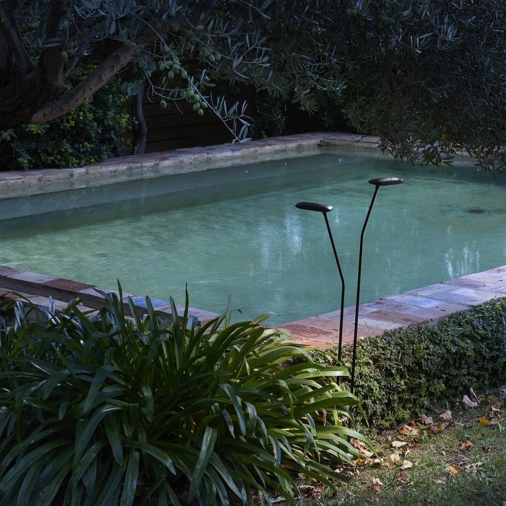 Bover Birdie Double Outdoor LED Bollard Light - 2Modern