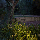 Birdie Double Outdoor LED Bollard Light