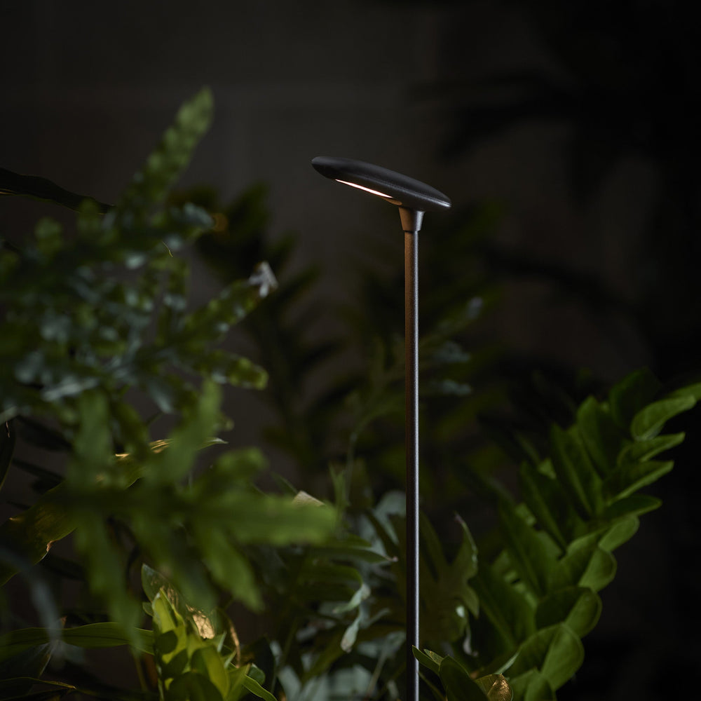 Birdie Outdoor LED Bollard Light