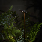 Birdie Outdoor LED Bollard Light