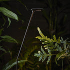 Birdie Outdoor LED Bollard Light