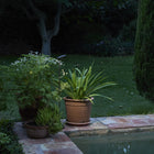 Birdie Outdoor LED Bollard Light