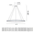 Circular XL One Ring Pendant Light