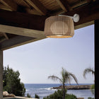 Fora Outdoor Wall Light