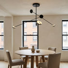 Invisible Multi Light Pendant Light