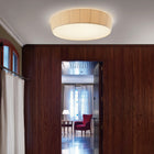 Plafonet LED Flush Mount