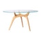 TRIIIO Dining Table  option Clear Glass