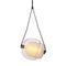 Capsula Pendant Light  option Amber