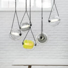 Capsula 5-Light Pendant Light