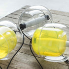 Capsula 5-Light Pendant Light
