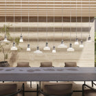Shadows Outdoor LED Pendant Light