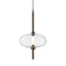 Under Pressure LED Pendant Light  option Transparent / Brushed Bronze / Black