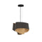 Carlotta Pendant Light  option Ebony / Ash