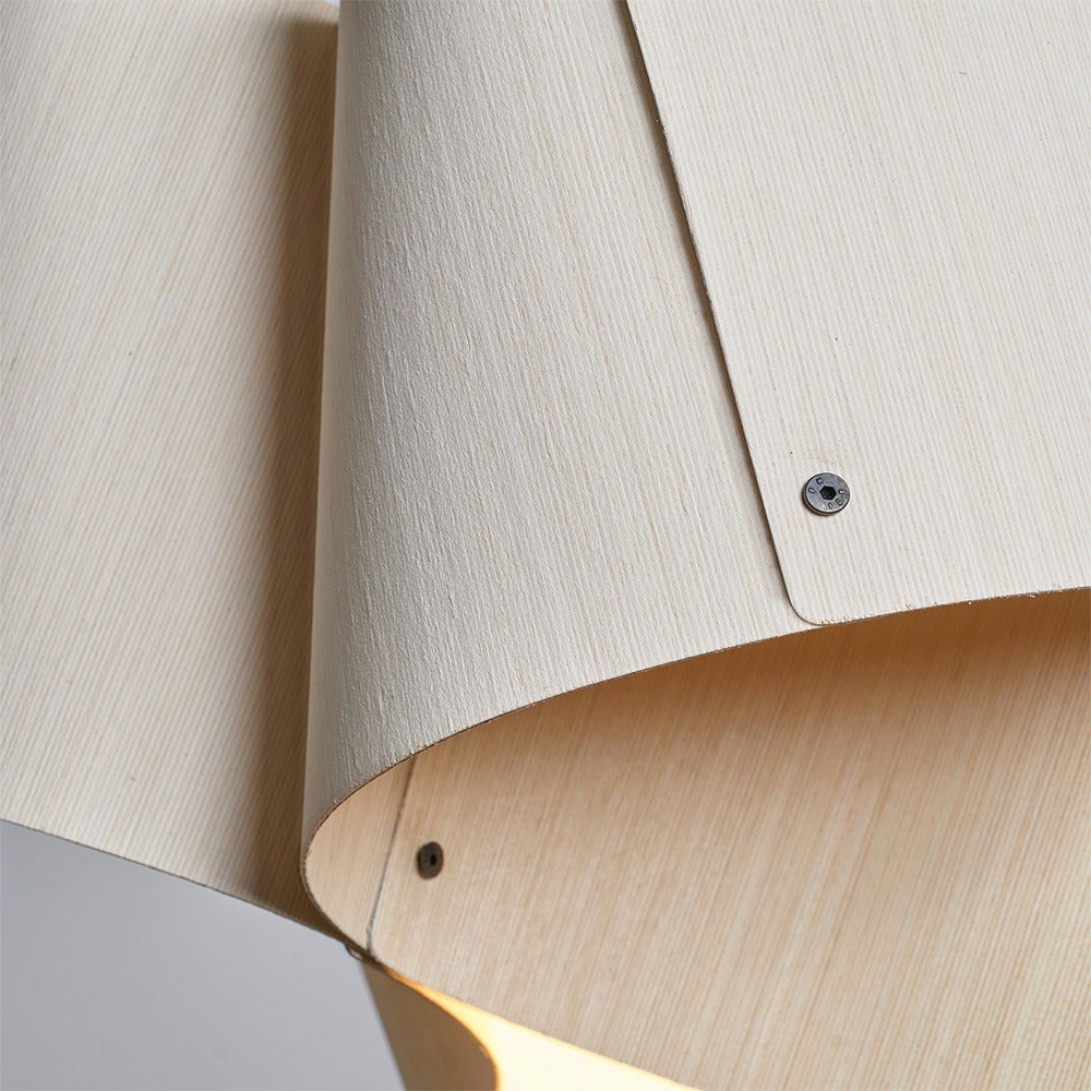 Carlotta Pendant Light
