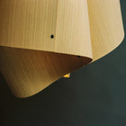 Carlotta Pendant Light