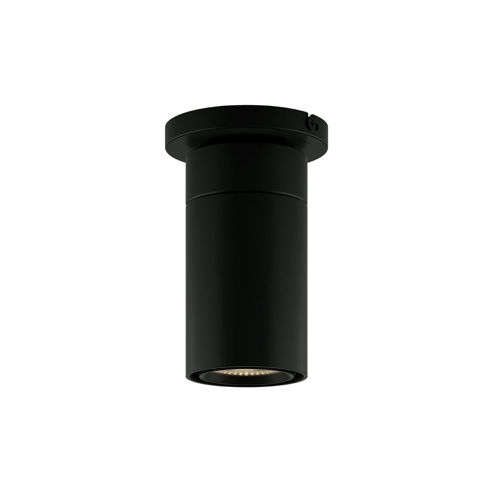 GX25 LED Flush Mount