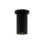 GX25 LED Flush Mount
