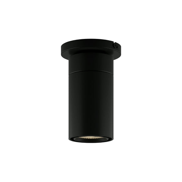GX25 LED Flush Mount