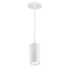 GX25 LED Pendant Light