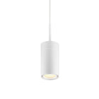 GX25 LED Pendant Light