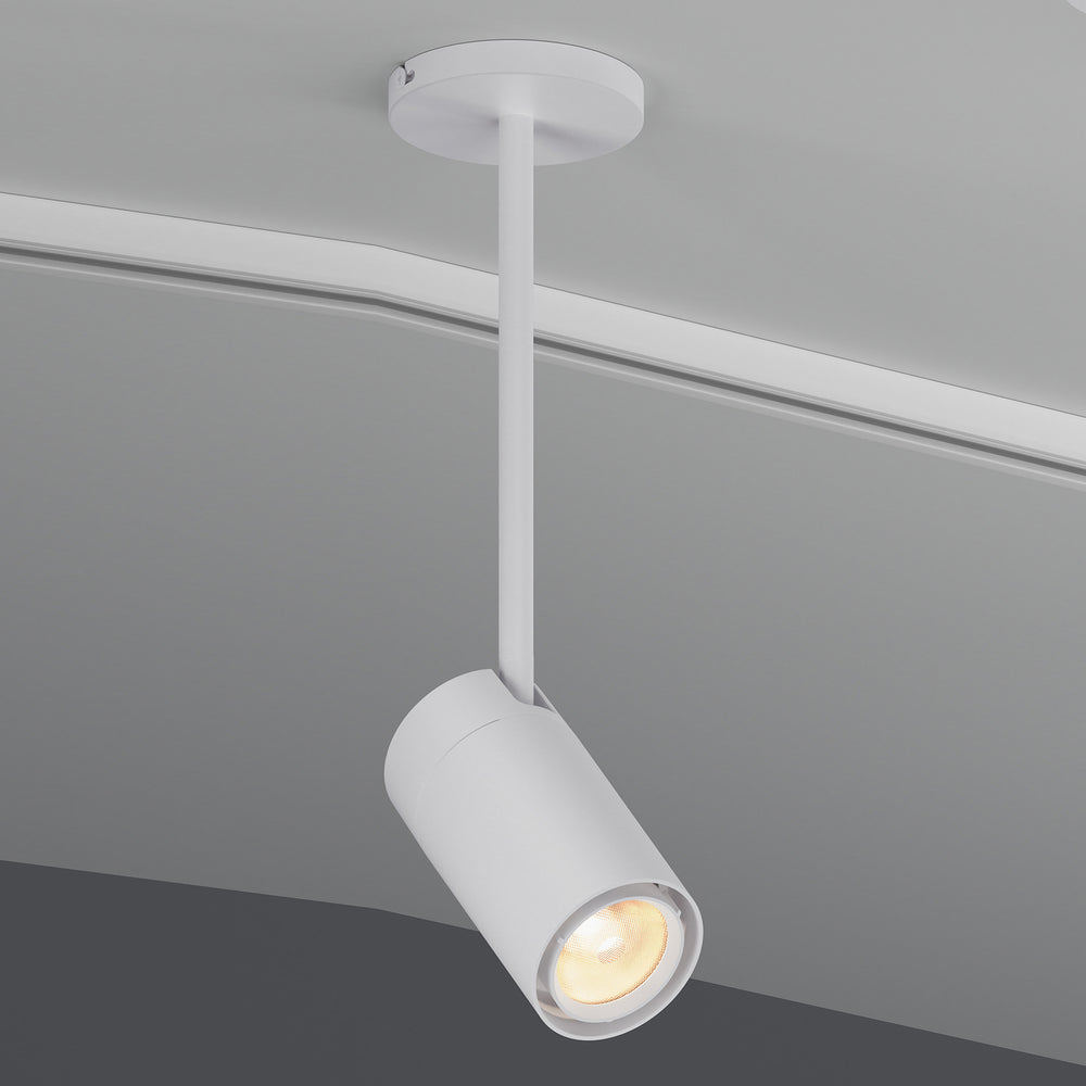 GX25 LED Spot Light
