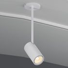 GX25 LED Spot Light