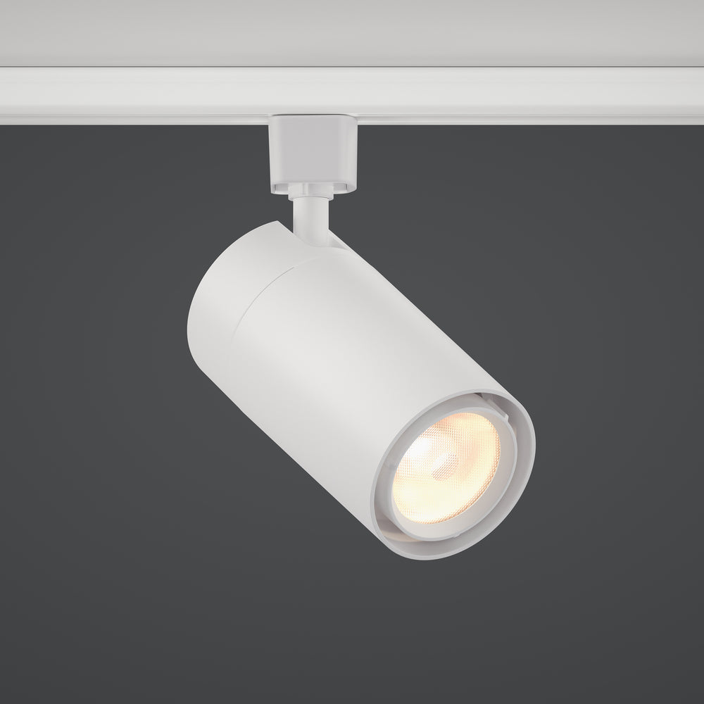 GX25 LED Track Light