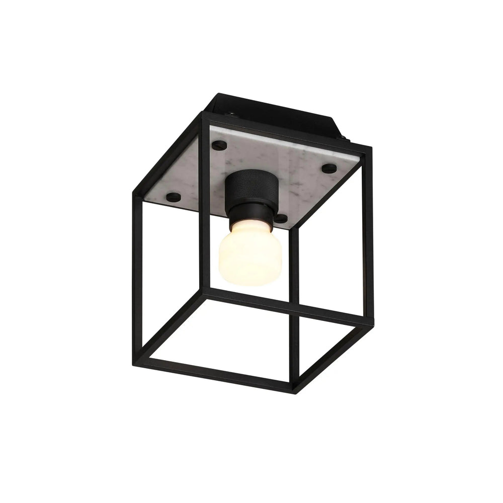 Caged Flush Mount