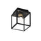Caged Outdoor Flush Mount  option Black / Brass