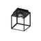Caged Outdoor Flush Mount  option Black / Steel