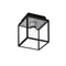 Caged Outdoor Flush Mount  option Steel